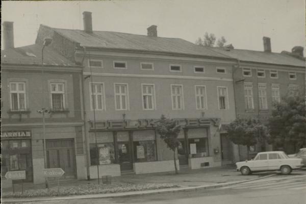 dom, skan 2