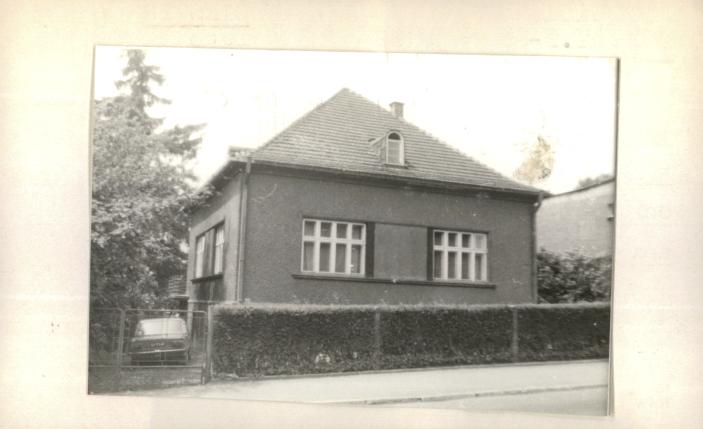 willa, skan 2