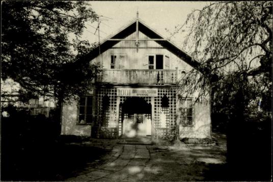 willa, skan 3