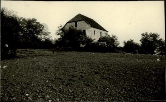 dwór, skan 3