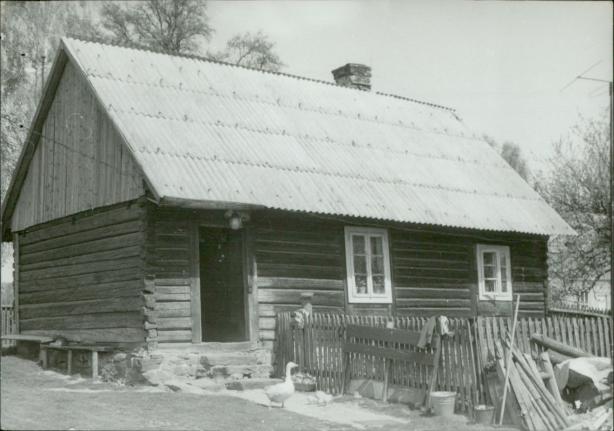 dom, skan 3
