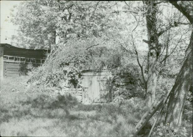 piwnica, skan 3