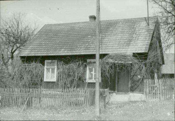 dom, skan 3
