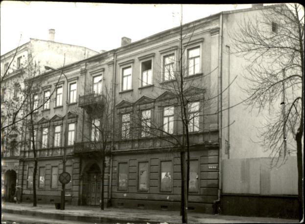 dom, skan 2