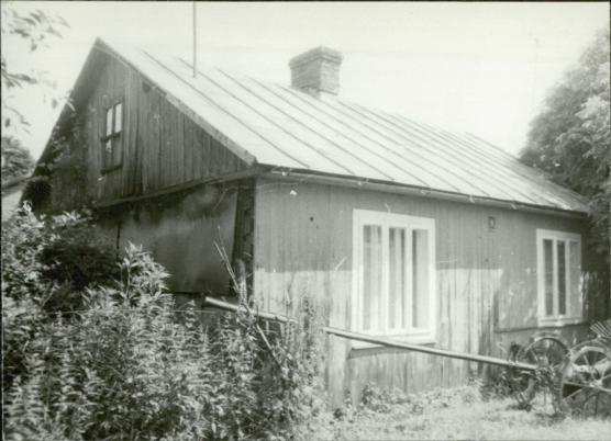 dom, skan 3