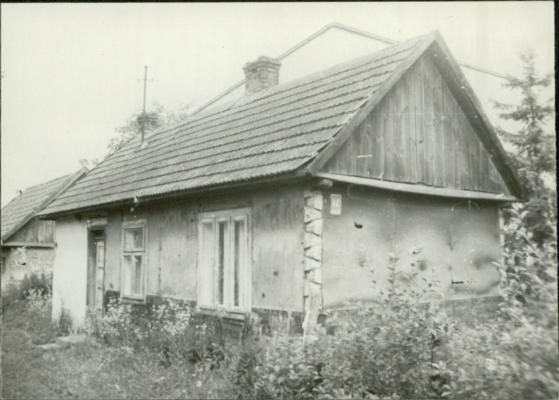 dom, skan 3