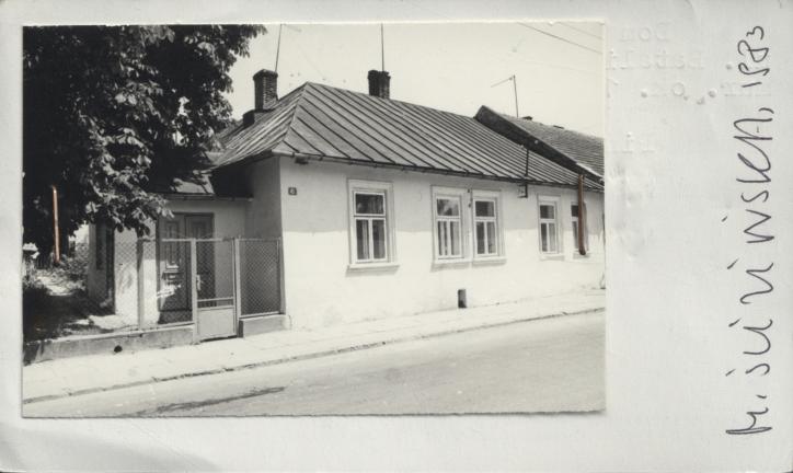 dom, skan 2