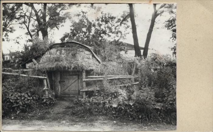 piwnica, skan 2