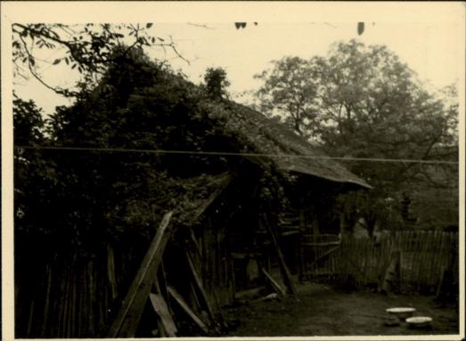 spichlerz, skan 3