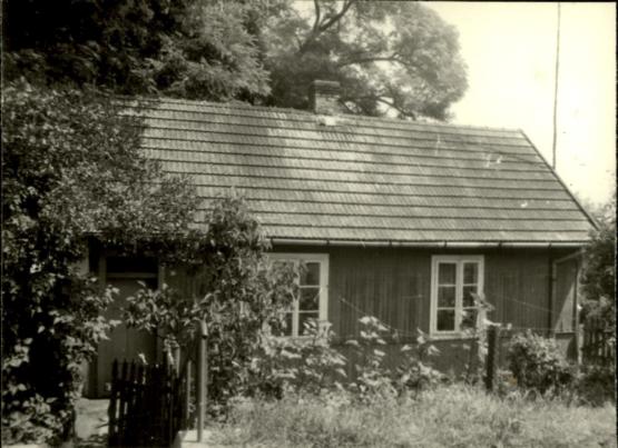 dom, skan 3