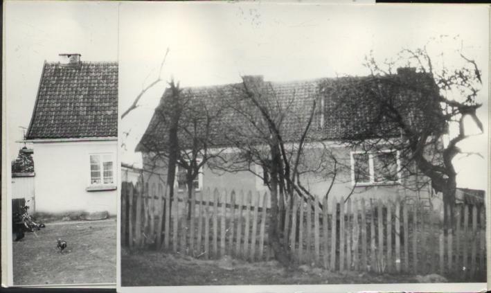 dom, skan 3