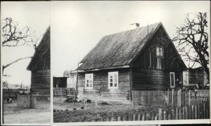 dom, skan 3