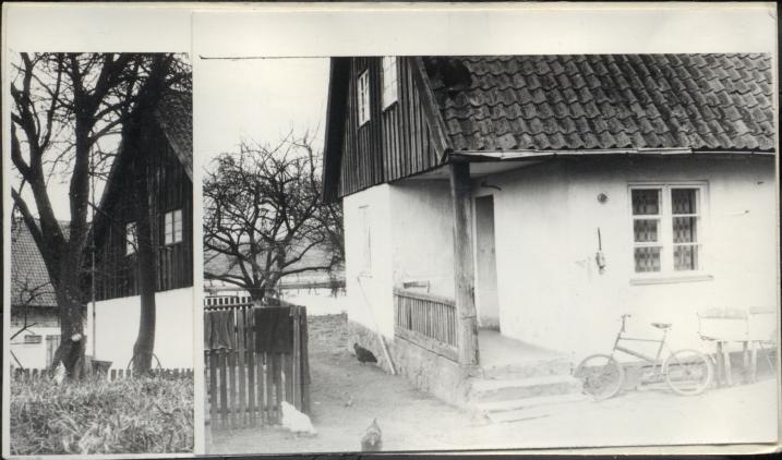 dom, skan 3