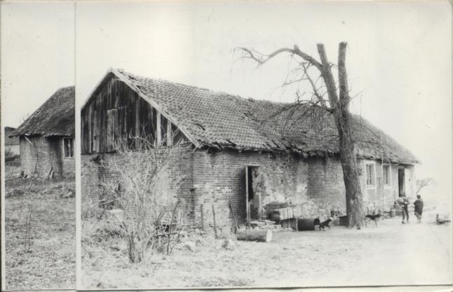 dom mieszkalno-gospodarczy, skan 2