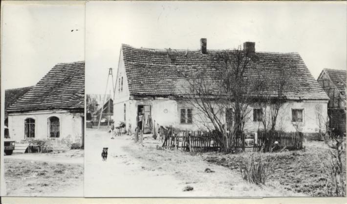 dom, skan 3