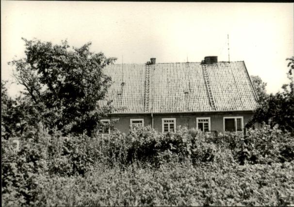 dom, skan 2