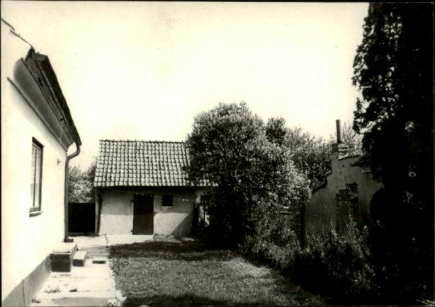 dom, skan 4