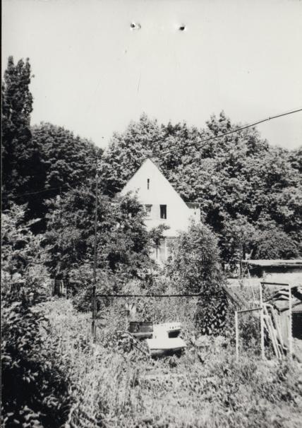 dom, skan 3