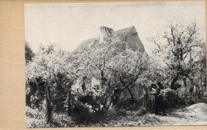 dom, skan 2