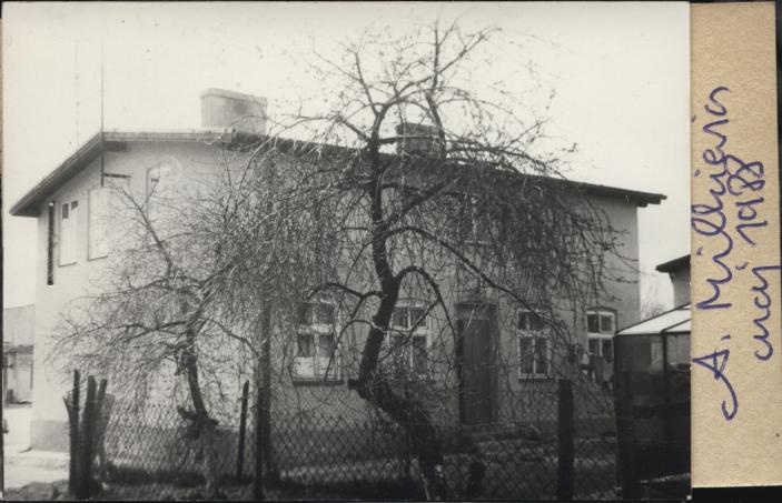 dom, skan 2