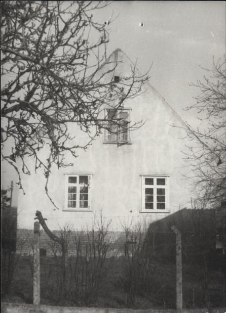 dom, skan 3