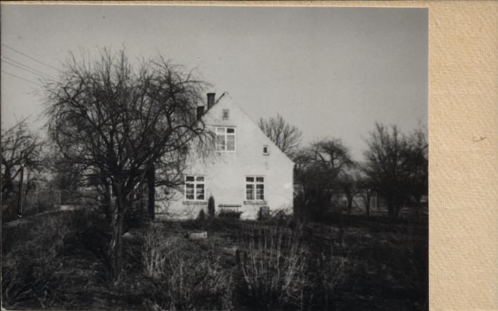 dom, skan 2