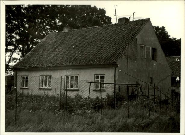 dom, skan 3