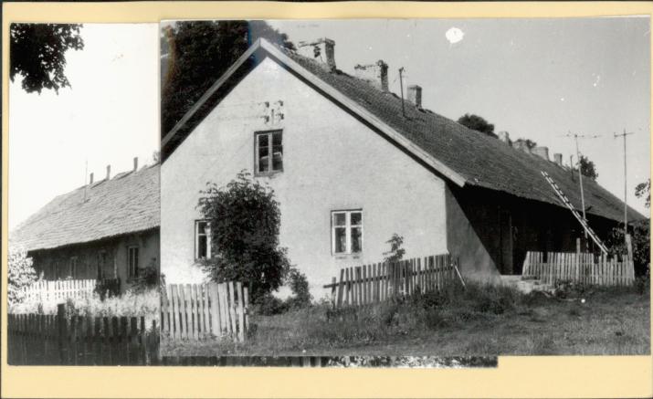 czworak, skan 2