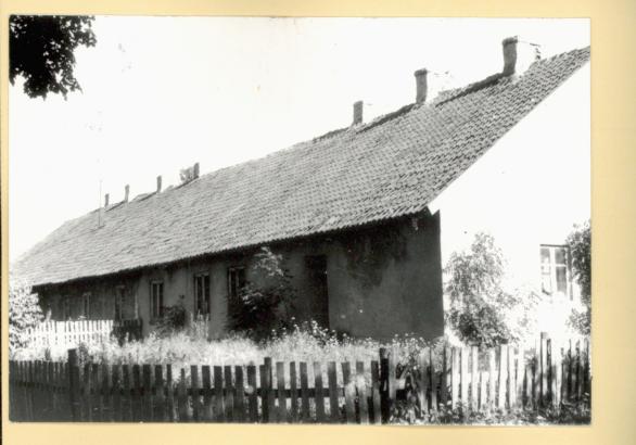 czworak, skan 3