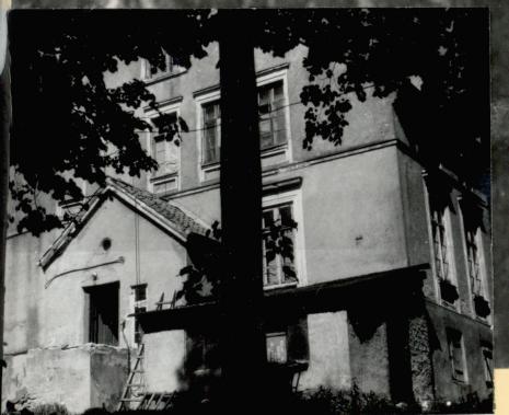 pałac, skan 3
