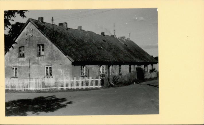 czworak, skan 2