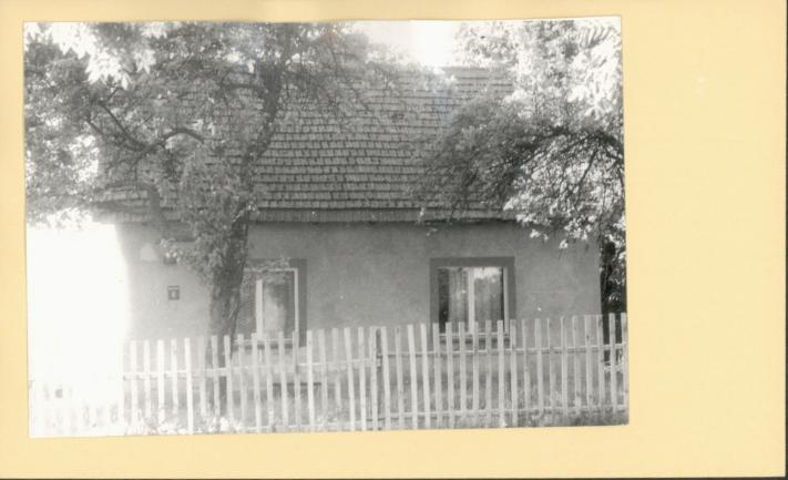 dom, skan 2