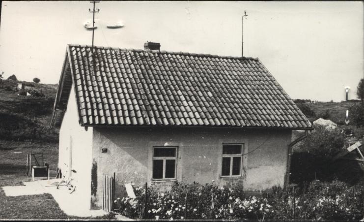 dom, skan 2
