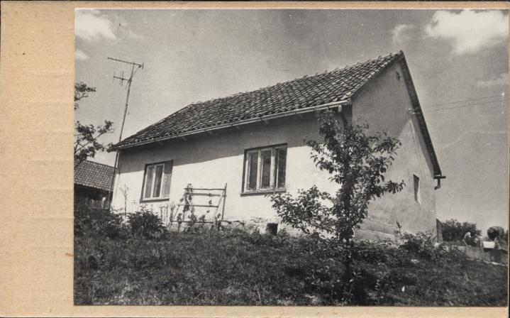 dom, skan 2