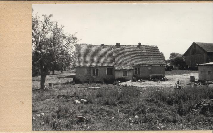 dom, skan 2
