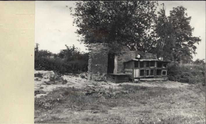 ruina obory w zagr., skan 2