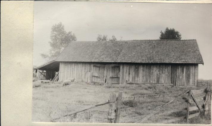 stodoła, skan 2