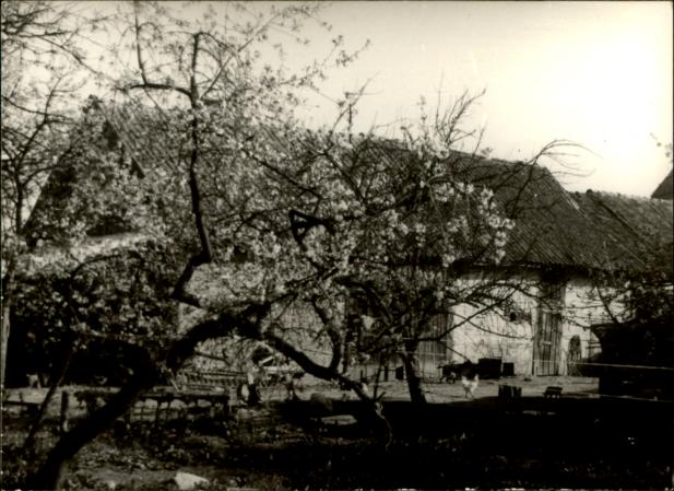 budynek godpodarczy II, skan 3