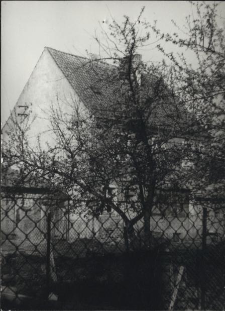 dom, skan 5