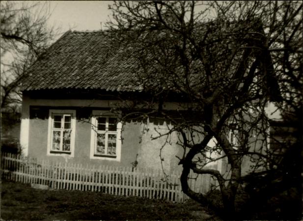 dom, skan 4