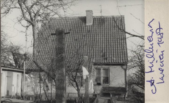 dom, skan 2