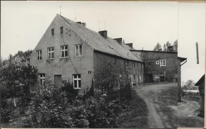 dom, skan 3