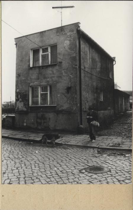 dom, skan 2
