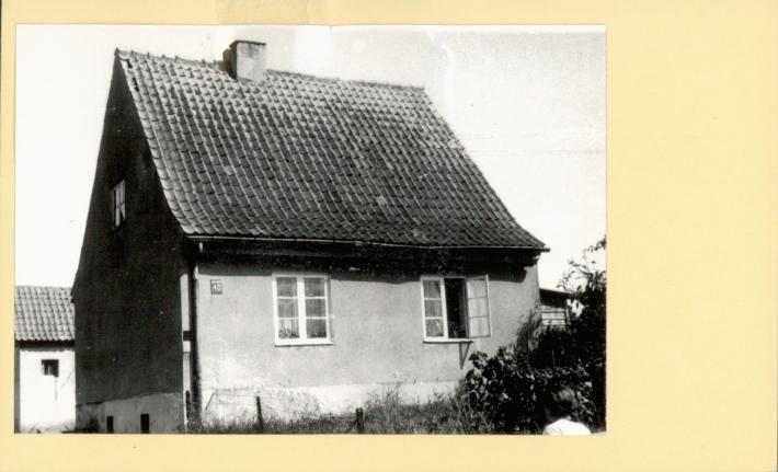dom, skan 2
