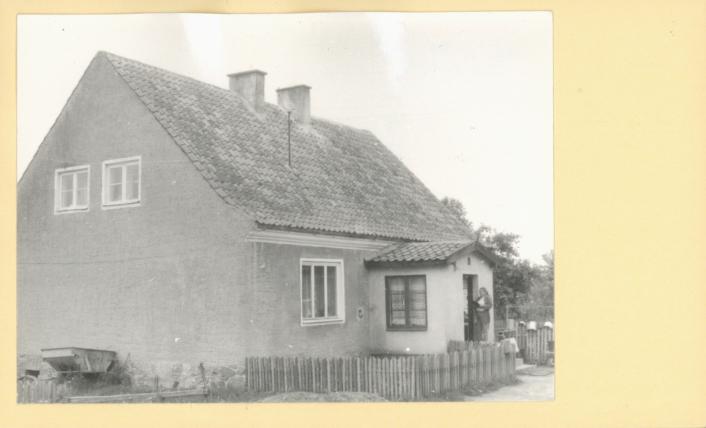 dom, skan 2