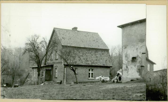 dom, skan 2