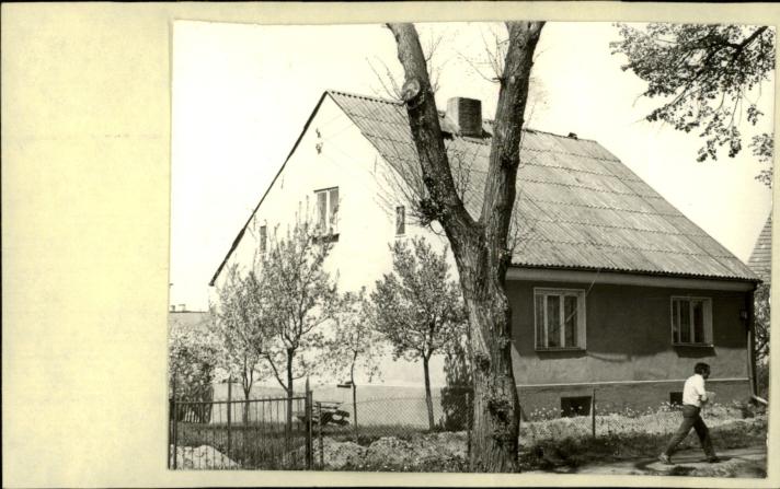 dom, skan 2