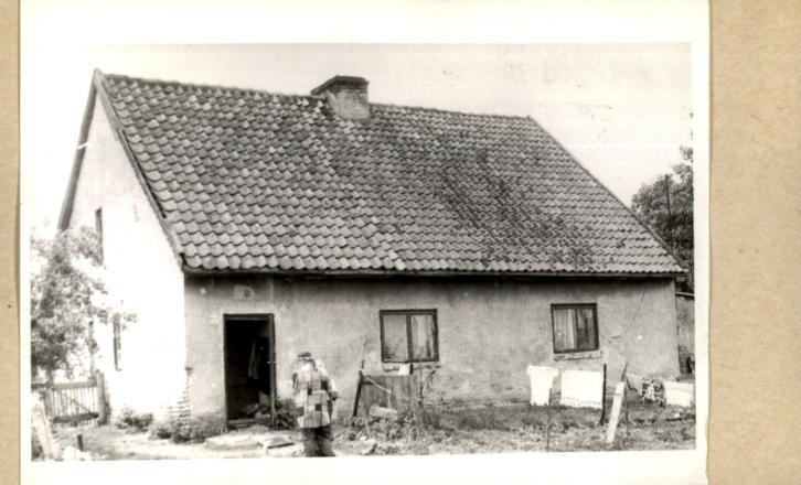 dom, skan 2