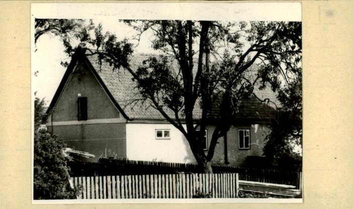 dom, skan 2