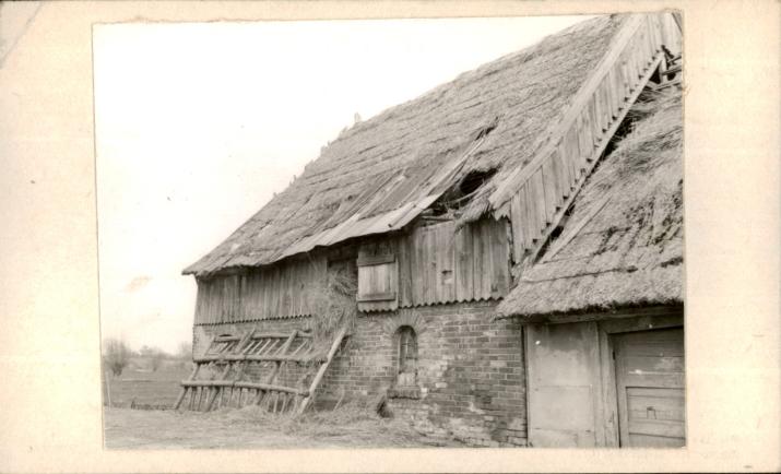 obora, skan 2